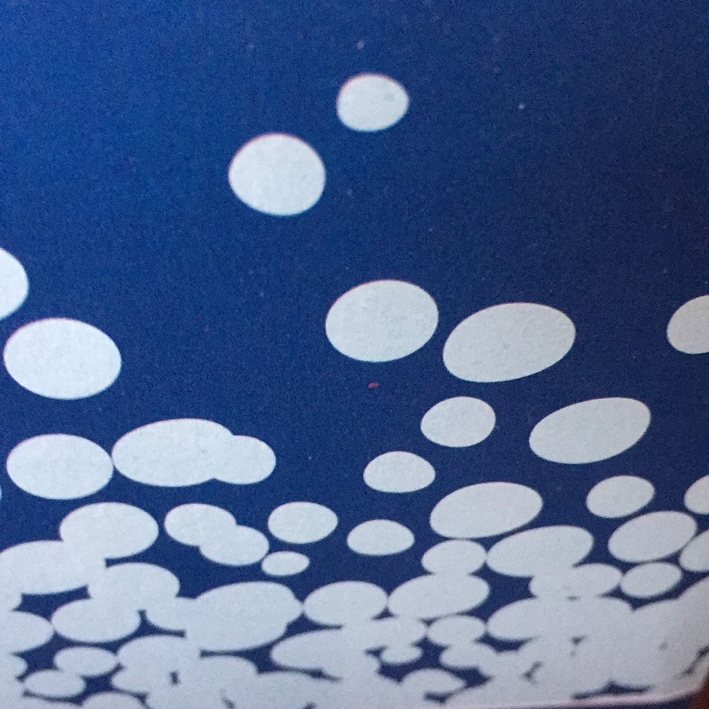 Meet your Posher, Bernadette